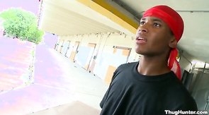 Sensual black man is sucking white in the video by Thug Hunter