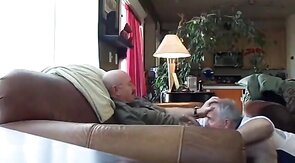 Silver Fox Servicer