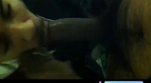Chupando Rolão no Banheiro - Sexo Oral Amador
