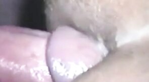 Anal Penetration with a Cum Tribute