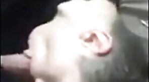 Passionate Blowjob by Paddy