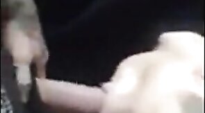 Passionate Blowjob by Paddy