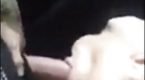 Passionate Blowjob by Paddy