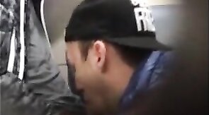 Twink Handjob in the WC - Amateur Cum Tribute Video