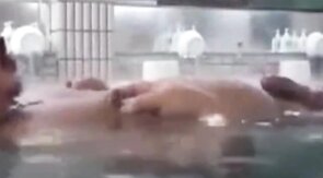 Japanese Sauna Bears Cum Together