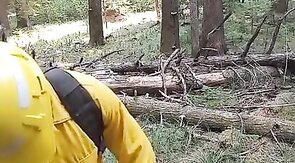 Wildfire Worker's Outdoor Masturbation Solo