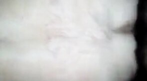 Silver Daddy Bear: 63 Years Old