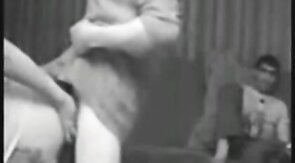 Silver Fox Tops Young Russian Stud
