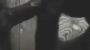 Black Hunk Sucks Big Cock Through Glory Hole