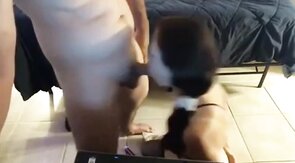 Sissy Sub's Big Cock Blowjob
