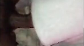 Big Black Cock Gets Sucked by Amateur