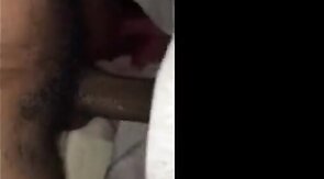 Big Black Cock Gets Sucked by Amateur