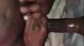 Big Black Cock Gets Sucked by Amateur