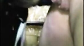 Verbal Bear Makes Cub Swallow