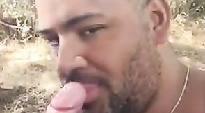 Bear Sucks and Swallows Outdoors