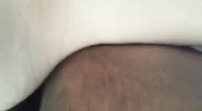 Osos maduros: Papi y su osito