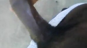 Huge Black Cock Masturbating and Cumming Outdoors