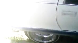 Huge Black Cock Masturbating and Cumming Outdoors