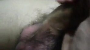 Primo mostrando o pau - Gay Amateur