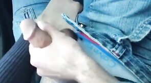 Roadside Fun: Sucking & Stroking
