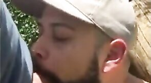 Fat Bear's Outdoor Blowjob Adventure