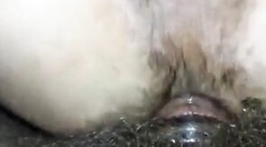 Barebacking my hairy hole - breeding by a big cock