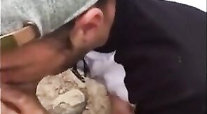 Fat Cock Sucking in the Woods by Horny Amateur