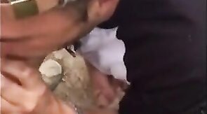 Fat Cock Sucking in the Woods by Horny Amateur