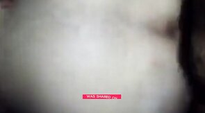 Bear Daddy's Cock Craze