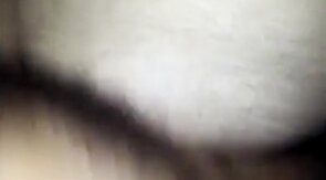 Bear Daddy's Cock Craze