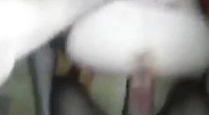 Old Studs Bareback Young Amateurs with Big Cocks