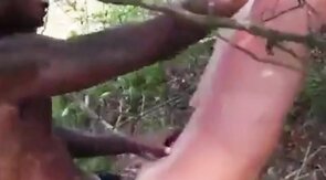 Big Black Cock Breeds White Hole Outdoors