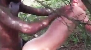 Big Black Cock Breeds White Hole Outdoors