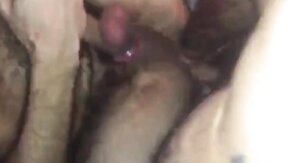 Bareback Amateur Compilation: Bulls & Hubby