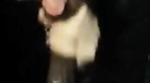 Bearded Guy Sucks Interracial Cock in a Public Restroom