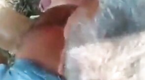 Mature Gay Bear Blowjob in the Woods