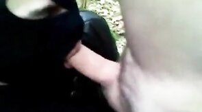 Outdoor Fun: Blowjob Adventure in the Woods