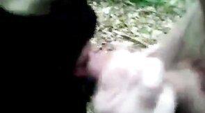 Outdoor Fun: Blowjob Adventure in the Woods