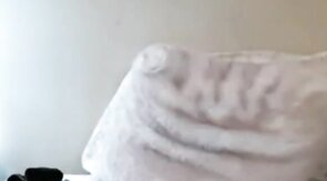 Cute Young Twink Shows Off on Webcam