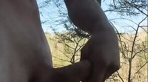 Outdoor Twink Masturbating in the Woods