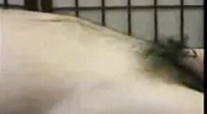 Amateur Asian Daddy's Happy Ending