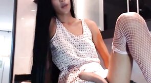 Latin Tgirl Holly's Amateur Webcam Show