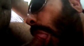 Rio de Janeiro Bull Sucking the Machos Off