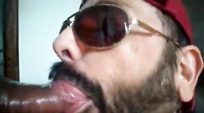 Rio de Janeiro Bull Sucking the Machos Off
