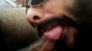 Rio de Janeiro Bull Sucking the Machos Off