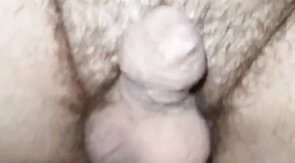 Amateur's Painful Anal Sex with Toy on Sofa