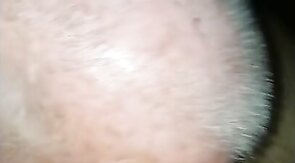 Daddy Bear Sucks Mexican Cock - Amateur Interracial Fun