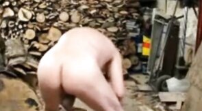 Silver Fox Strokes Wood at the Sawmill