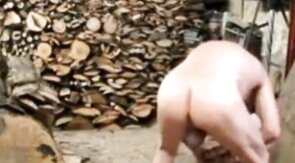 Silver Fox Strokes Wood at the Sawmill