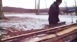 Silver Fox Strokes Wood at the Sawmill